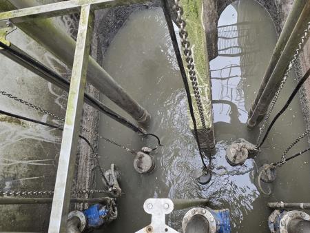 Slika 2 - Vzorčenje na terenu- inhibicija Feb.24